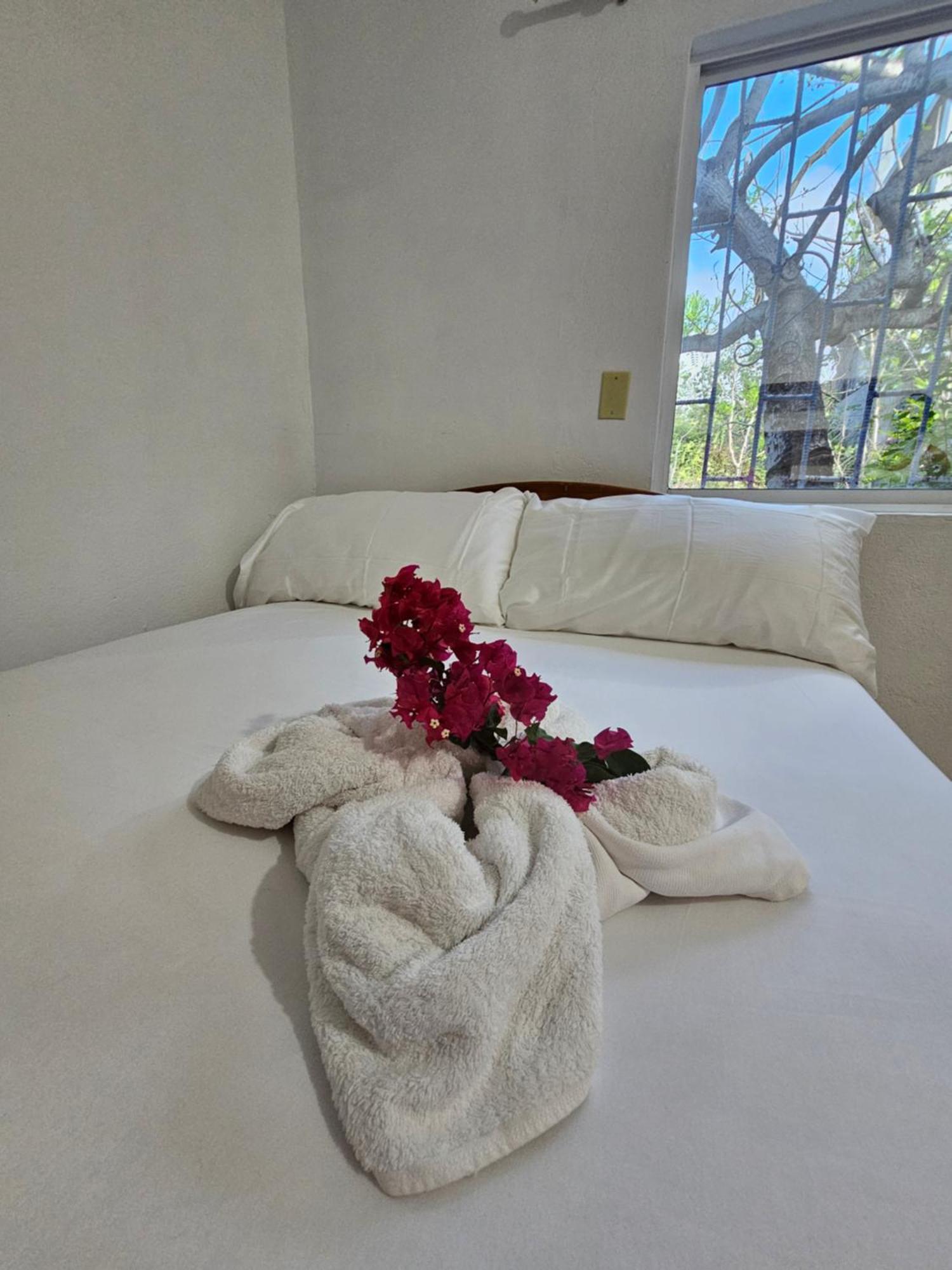 Lovely Inn San Cristóbal المظهر الخارجي الصورة